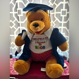 Winnie the Pooh Disneyland Grad Nite